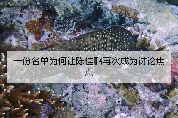 一份名单为何让陈佳鹏再次成为讨论焦点